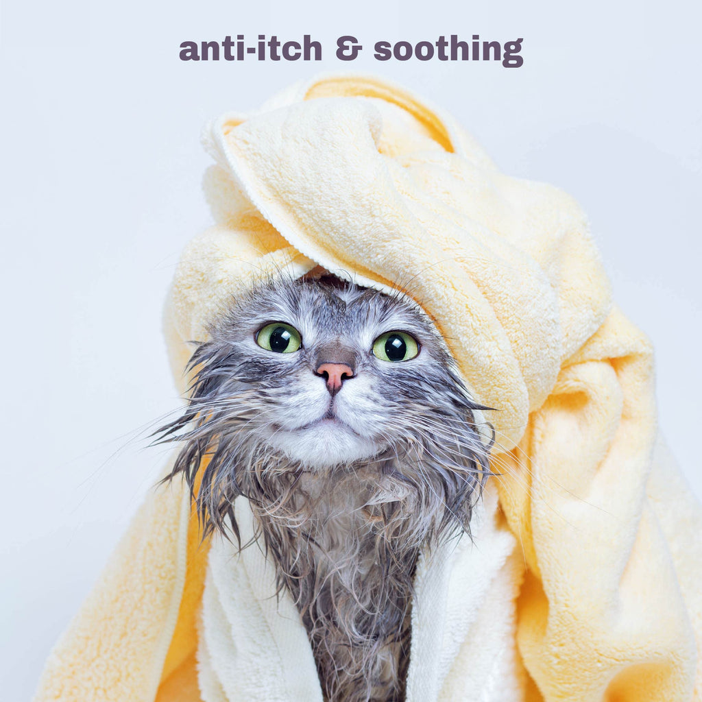 Soothing Hypoallergenic Cat Shampoo - Easy At-Home Cat Grooming | Deodorizes | Gentle & Anti-Itch | Natural & Allerg