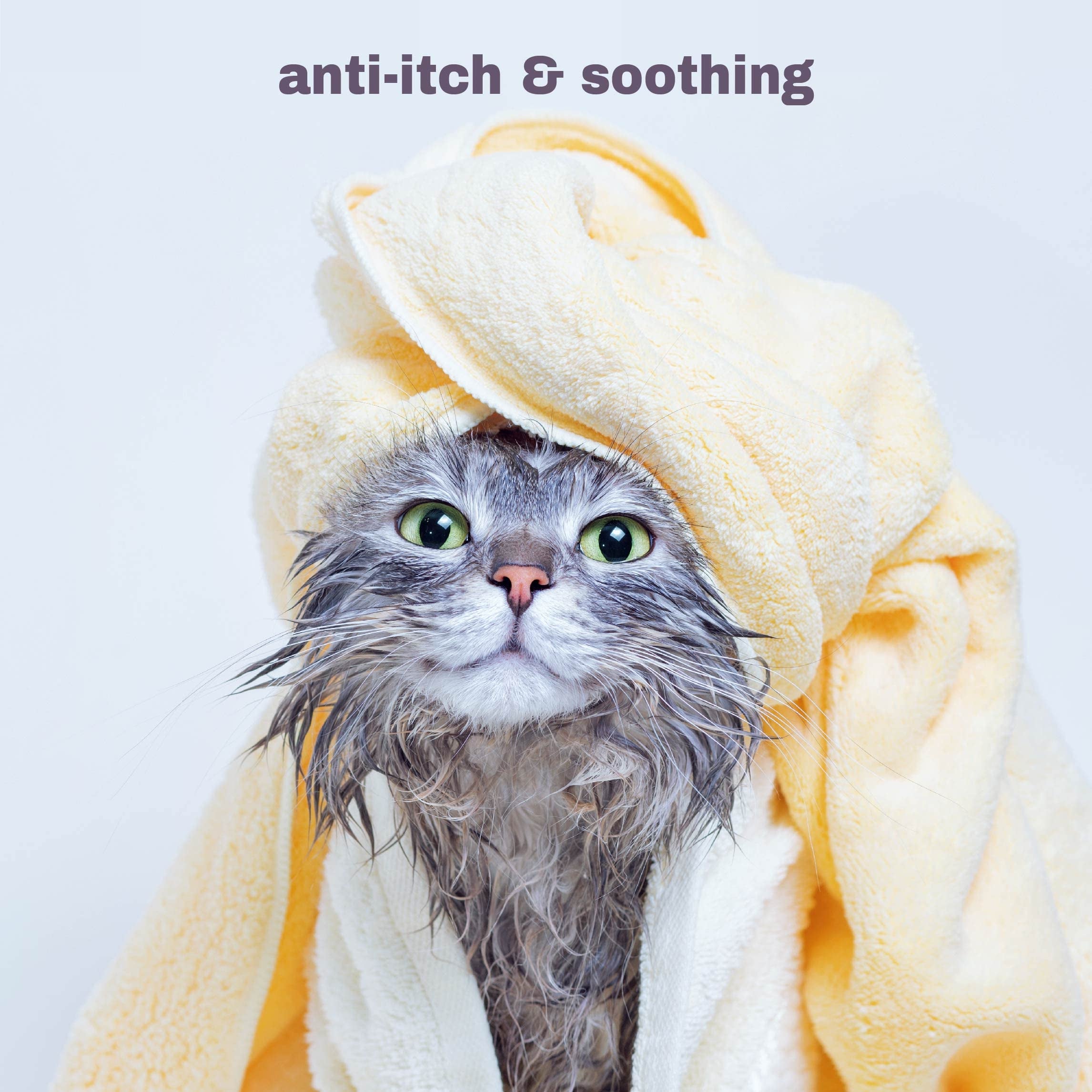 Soothing Hypoallergenic Cat Shampoo - Easy At-Home Cat Grooming | Deodorizes | Gentle & Anti-Itch | Natural & Allerg